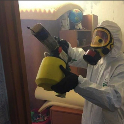 Уничтожение клопов в квартире. Саратов